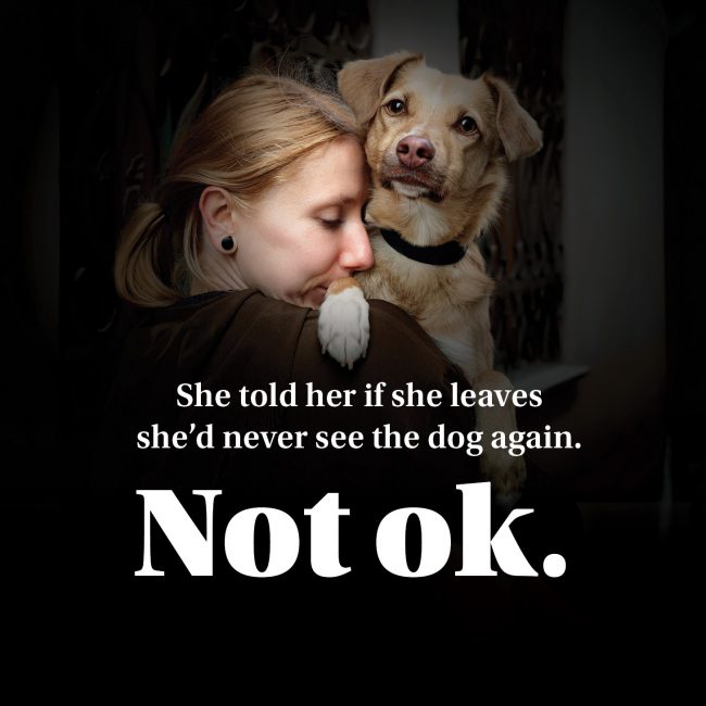 Poster text reads “She told her if she leaves she’d never see the dog again. Not ok.” — campaign about emotional control.
